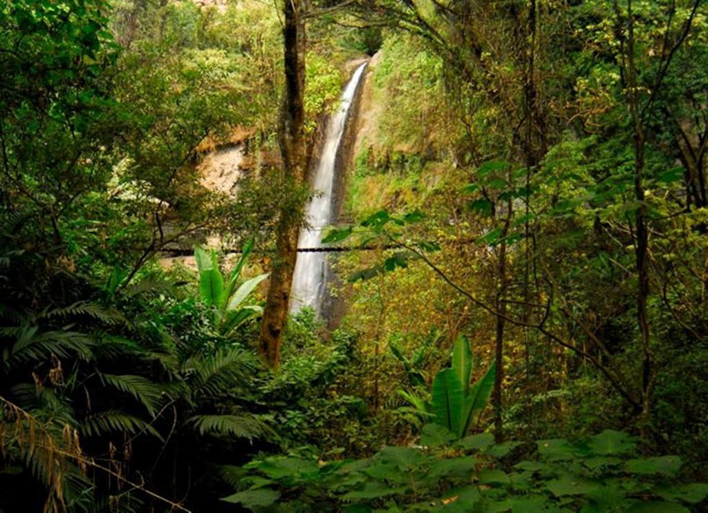 Reserva Natural Atitlan Panajachel Exterior foto